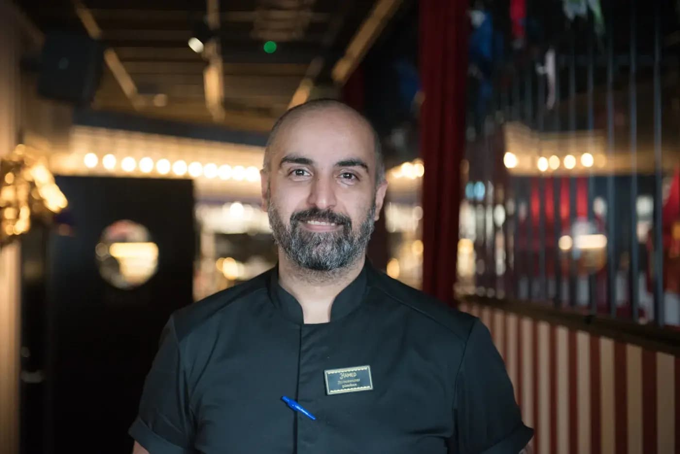 Hamed Mirzaali